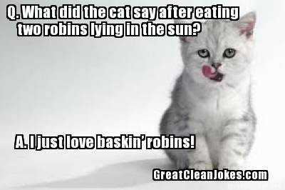 funny cat jokes for adults